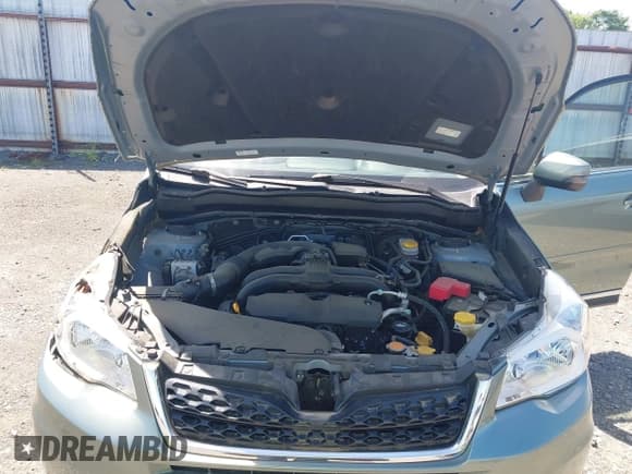 ✅ 2016 Subaru Forester Touring • VIN: JF2SJAVCXGH490507 • Lot: 42070715. Wystawiony na IAAI z przebiegiem 98 456 mil. Bezpłatny archiwum sprzedaży aukcyjnych z USA i szczegółowy raport historii pojazdu na DreamBid. Zdjęcie 10.