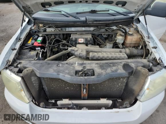 ✅ 2005 Ford F-150 XLT • VIN: 1FTPW14555KE68133 • Lot: 92438705. Listed on Copart with 88,871 mi. Free auction sales archive from the USA and detailed vehicle history report at DreamBid. Image 11.