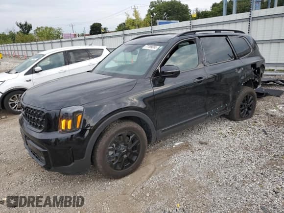 ✅ 2024 Kia Telluride SX X-Pro • VIN: 5XYP5DGC2RG475356 • Lot: 71189885. Listed on Copart with 10,593 mi. Free auction sales archive from the USA and detailed vehicle history report at DreamBid. Image 1.