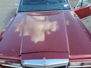 ✅ 1989 Lincoln Town Car • VIN: 1LNBM82F6KY740925 • Lot: 75393944. Wystawiony na Copart z przebiegiem 157 965 mil. Bezpłatny archiwum sprzedaży aukcyjnych z USA i szczegółowy raport historii pojazdu na DreamBid. Zdjęcie 11.