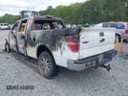 ✅ 2014 Ford F-150 XL • VIN: 1FTVW1ET7EKG35550 • Lot: 41940663. Listed on IAAI with Not provided. Free auction sales archive from the USA and detailed vehicle history report at DreamBid. Image 3.