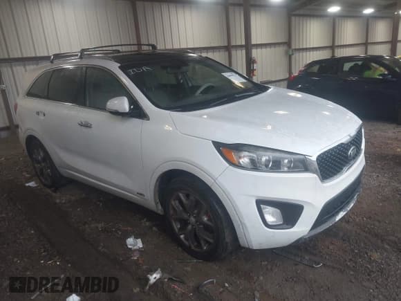 ✅ 2017 Kia Sorento SX • VIN: 5XYPKDA55HG254559 • Lot: 43866934. Listed on IAAI with 128,102 mi. Free auction sales archive from the USA and detailed vehicle history report at DreamBid. Image 1.