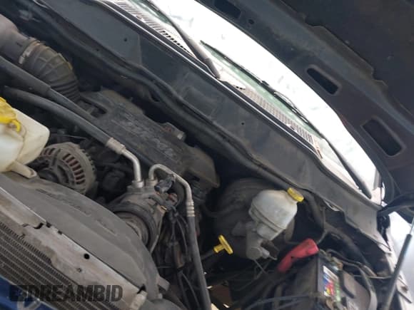 ✅ 2005 Dodge 1500 SLT • VIN: 1D7HA18D45J504345 • Lot: 43232618. Listed on IAAI with Not provided. Free auction sales archive from the USA and detailed vehicle history report at DreamBid. Image 10.