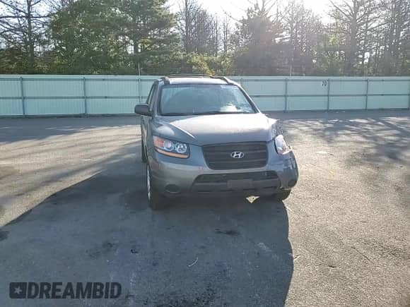 2009 Hyundai Santa Fe GLS с VIN 5NMSG73D39H317666, выставлен на аукционе Copart как лот 73697074 с пробегом 104 336 миль миль и Списание • Salvage title. История ставок и продаж доступна на DreamBid. Изображение 12.