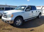 ✅ 2014 Ford F-150 XL • VIN: 1FTFW1EF9EFC53365 • Lot: 43408361. Wystawiony na IAAI z przebiegiem 184 457 mil. Bezpłatny archiwum sprzedaży aukcyjnych z USA i szczegółowy raport historii pojazdu na DreamBid. Zdjęcie 17.