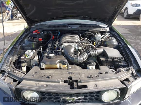 ✅ 2009 Ford Mustang GT • VIN: 1ZVHT82H495106704 • Лот: 42255540. Опубликован ранее на IAAI с пробегом 61 588 миль. Бесплатный доступ к архиву аукционных продаж из США и подробный отчёт об истории автомобиля на DreamBid. Изображение 10.