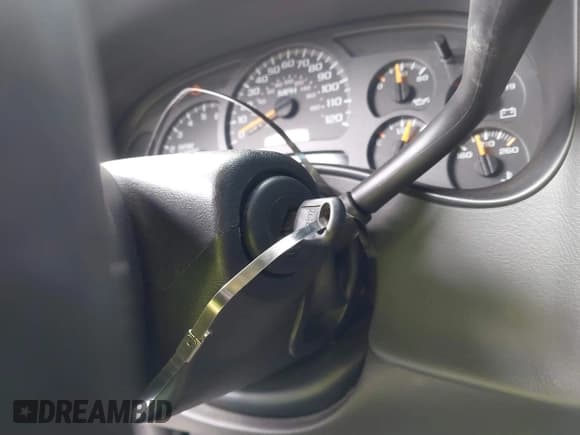 ✅ 2004 Chevrolet Silverado 1500 LT • VIN: 2GCEC13T141317871 • Lot: 43223742. Listed on IAAI with 249,943 mi. Free auction sales archive from the USA and detailed vehicle history report at DreamBid. Image 11.