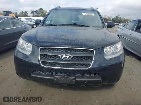 ✅ 2007 Hyundai Santa Fe GLS • VIN: 5NMSG13DX7H089787 • Lot: 75702964. Listed on Copart with 121,139 mi. Free auction sales archive from the USA and detailed vehicle history report at DreamBid. Image 5.