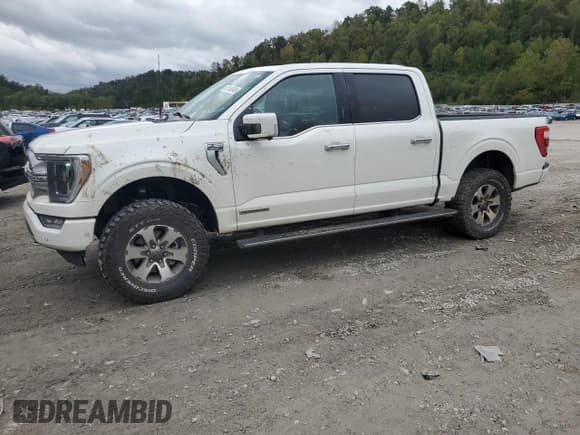 ✅ 2023 Ford F-150 XL • VIN: 1FTFW1ED5PFB87110 • Lot: 82106045. Wystawiony na Copart z przebiegiem Nie podano. Bezpłatny archiwum sprzedaży aukcyjnych z USA i szczegółowy raport historii pojazdu na DreamBid. Zdjęcie 1.