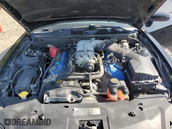 ✅ 2012 Ford Mustang Shelby GT500 • VIN: 1ZVBP8JS3C5221597 • Lot: 51902795. Wystawiony na Copart z przebiegiem 117 158 mil. Bezpłatny archiwum sprzedaży aukcyjnych z USA i szczegółowy raport historii pojazdu na DreamBid. Zdjęcie 11.