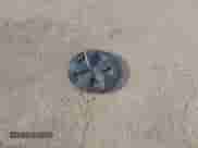 2025 Toyota Prius LE with VIN JTDACAAU4S3052719, listed as a IAAI auction lot 43175096 with 23,082 mi miles and . Bid and sale history available at DreamBid. Image 12.