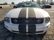 ✅ 2009 Ford Mustang • VIN: 1ZVHT80N095124240 • Lot: 82009305. Listed on Copart with 153,053 mi. Free auction sales archive from the USA and detailed vehicle history report at DreamBid. Image 5.