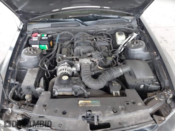 ✅ 2007 Ford Mustang Deluxe • VIN: 1ZVHT80NX75349309 • Lot: 43716028. Listed on IAAI with 148,642 mi. Free auction sales archive from the USA and detailed vehicle history report at DreamBid. Image 10.