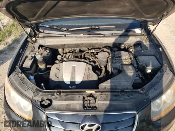 2010 Hyundai Santa Fe Limited with VIN 5NMSKDAG6AH359683, listed as a Copart auction lot 66179444 with 234,803 mi miles and Salvage title. Bid and sale history available at DreamBid. Image 13.