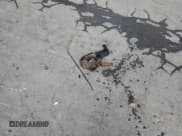 ✅ 2011 Chevrolet Silverado 1500 LT • VIN: 3GCPCSE00BG324803 • Lot: 68738955. Wystawiony na Copart z przebiegiem 214 922 mil. Bezpłatny archiwum sprzedaży aukcyjnych z USA i szczegółowy raport historii pojazdu na DreamBid. Zdjęcie 12.