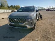 ✅ 2022 Hyundai Santa Fe Calligraphy • VIN: 5NMS5DAL5NH389218 • Lot: 90095975. Listed on Copart with 90,494 mi. Free auction sales archive from the USA and detailed vehicle history report at DreamBid. Image 13.