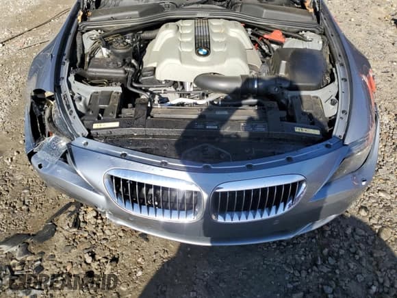 ✅ 2005 BMW 6 Series 645Ci • VIN: WBAEH73495B193487 • Lot: 88299505. Wystawiony na Copart z przebiegiem 57 967 mil. Bezpłatny archiwum sprzedaży aukcyjnych z USA i szczegółowy raport historii pojazdu na DreamBid. Zdjęcie 11.