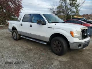 ✅ 2010 Ford F-150 XL • VIN: 1FTEW1E85AFC82384 • Лот: 92123545. Опубликован ранее на Copart с пробегом 90 572 миль. Бесплатный доступ к архиву аукционных продаж из США и подробный отчёт об истории автомобиля на DreamBid. Изображение 4.