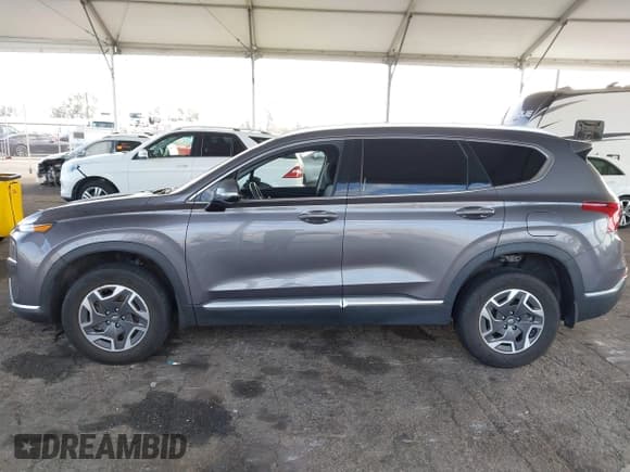 ✅ 2021 Hyundai Santa Fe Blue • VIN: KM8S2DA12MU006345 • Lot: 41505836. Listed on IAAI with 96,446 mi. Free auction sales archive from the USA and detailed vehicle history report at DreamBid. Image 14.