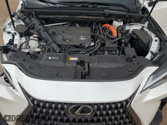 ✅ 2024 Lexus NX 350h • VIN: JTJAKCEZ1R5017054 • Lot: 56235435. Listed on Copart with 8,911 mi. Free auction sales archive from the USA and detailed vehicle history report at DreamBid. Image 12.