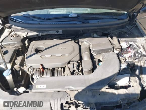 2016 Hyundai Sonata SE with VIN 5NPE24AF0GH320961, listed as a IAAI auction lot 43520689 with Not provided miles and . Bid and sale history available at DreamBid. Image 10.