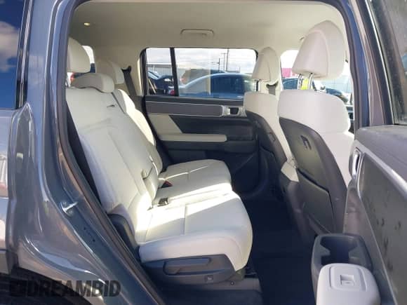2024 Hyundai Santa Fe SE с VIN 5NMP1DGL9RH052548, выставлен на аукционе IAAI как лот 41522794 с пробегом 8 718 миль миль и . История ставок и продаж доступна на DreamBid. Изображение 8.