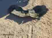 2022 Chevrolet Silverado 1500 Custom Trail Boss with VIN 3GCPDCED7NG661849, listed as a Copart auction lot 46292425 with 97,096 mi miles and Salvage title. Bid and sale history available at DreamBid. Image 12.