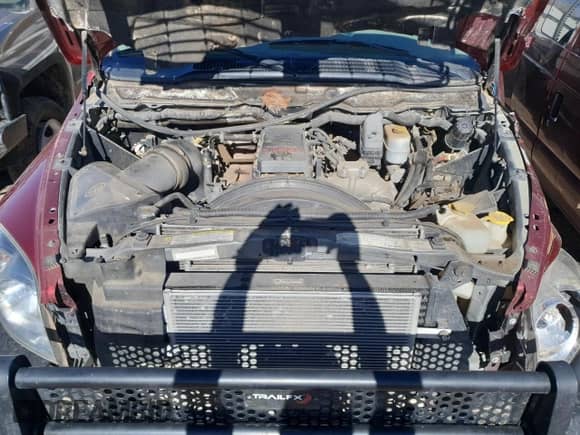 2008 Dodge 3500 SXT с VIN 3D7MX39A18G188759, выставлен на аукционе Copart как лот 43271115 с пробегом 312 867 миль миль и Списание • Salvage title. История ставок и продаж доступна на DreamBid. Изображение 12.