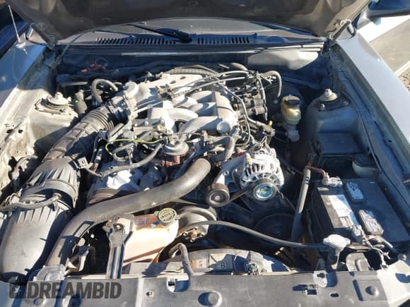 ✅ 2002 Ford Mustang Standard • VIN: 1FAFP40452F210504 • Lot: 43483631. Wystawiony na IAAI z przebiegiem Nie podano. Bezpłatny archiwum sprzedaży aukcyjnych z USA i szczegółowy raport historii pojazdu na DreamBid. Zdjęcie 10.