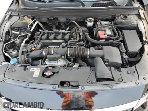 ✅ 2019 Honda Accord Sport • VIN: 1HGCV1F31KA056680 • Lot: 67684225. Listed on Copart with 53,434 mi. Free auction sales archive from the USA and detailed vehicle history report at DreamBid. Image 11.