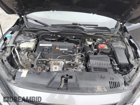 ✅ 2020 Honda Civic LX • VIN: 2HGFC2F60LH587701 • Lot: 43741941. Listed on IAAI with 111,256 mi. Free auction sales archive from the USA and detailed vehicle history report at DreamBid. Image 10.