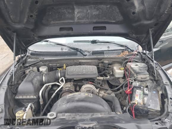 2010 Dodge Dakota Bighorn/Lonestar with VIN 1D7CW3BKXAS104194, listed as a IAAI auction lot 41715084 with 188,981 mi miles and . Bid and sale history available at DreamBid. Image 10.