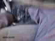 2006 Chevrolet Silverado 1500 LS с VIN 1GCEC19X56Z246209, выставлен на аукционе Copart как лот 70563034 с пробегом 206 671 миль миль и Списание • Salvage title. История ставок и продаж доступна на DreamBid. Изображение 2.