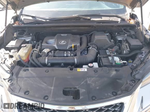 ✅ 2017 Lexus NX 200t • VIN: JTJYARBZ3H2078950 • Лот: 42099733. Опубликован ранее на IAAI с пробегом 79 652 миль. Бесплатный доступ к архиву аукционных продаж из США и подробный отчёт об истории автомобиля на DreamBid. Изображение 10.