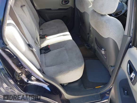 2005 Hyundai Santa Fe GLS z VIN KM8SC73D25U983704, wystawiony jako IAAI lot #41411428 z przebiegiem 116 563 mil mil oraz . Historia ofert i sprzedaży dostępna na DreamBid. Obrazek 8.