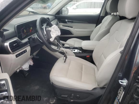 ✅ 2024 Kia Telluride EX • VIN: 5XYP34GC0RG434312 • Lot: 86749205. Listed on Copart with 21,966 mi. Free auction sales archive from the USA and detailed vehicle history report at DreamBid. Image 7.