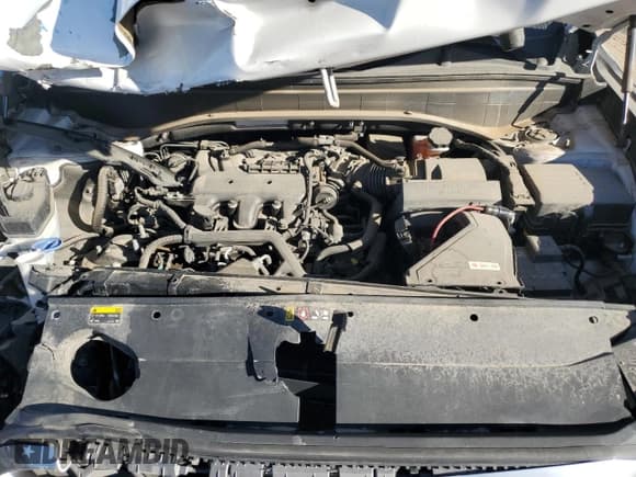 ✅ 2020 Hyundai Palisade Limited • VIN: KM8R5DHE5LU117176 • Лот: 75949604. Опубликован ранее на Copart с пробегом 43 734 миль. Бесплатный доступ к архиву аукционных продаж из США и подробный отчёт об истории автомобиля на DreamBid. Изображение 14.