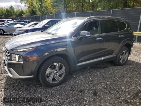 ✅ 2021 Hyundai Santa Fe SEL • VIN: 5NMS6DAJ3MH321932 • Lot: 86166985. Wystawiony na Copart z przebiegiem 117 405 mil. Bezpłatny archiwum sprzedaży aukcyjnych z USA i szczegółowy raport historii pojazdu na DreamBid. Zdjęcie 1.