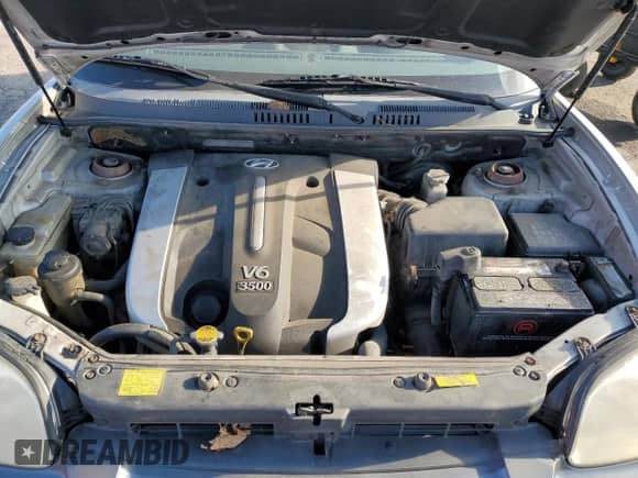 2005 Hyundai Santa Fe GLS z VIN KM8SC73E85U968620, wystawiony jako Copart lot #83382614 z przebiegiem 161 126 mil mil oraz Szkoda całkowita • Salvage title. Historia ofert i sprzedaży dostępna na DreamBid. Obrazek 13.