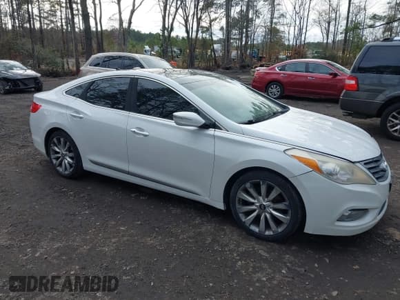 ✅ 2013 Hyundai Azera • VIN: KMHFH4JG6DA262302 • Lot: 43934943. Listed on IAAI with 241,054 mi. Free auction sales archive from the USA and detailed vehicle history report at DreamBid. Image 1.