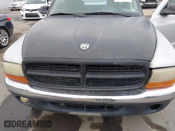 ✅ 2003 Dodge Dakota SLT • VIN: 1D7HL42X83S269082 • Lot: 41890813. Wystawiony na IAAI z przebiegiem Nie podano. Bezpłatny archiwum sprzedaży aukcyjnych z USA i szczegółowy raport historii pojazdu na DreamBid. Zdjęcie 10.