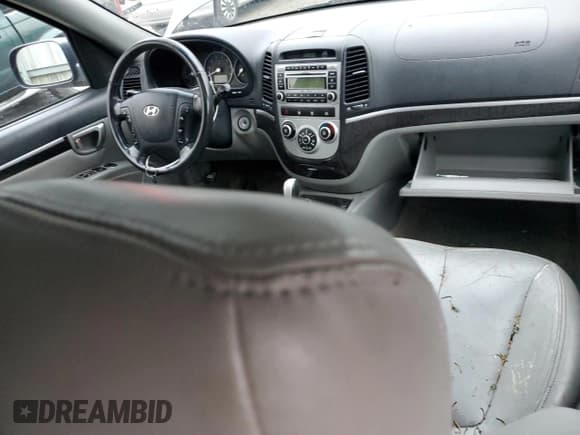 ✅ 2008 Hyundai Santa Fe SE • VIN: 5NMSH73E98H172489 • Lot: 82557524. Listed on Copart with 259,062 mi. Free auction sales archive from the USA and detailed vehicle history report at DreamBid. Image 8.