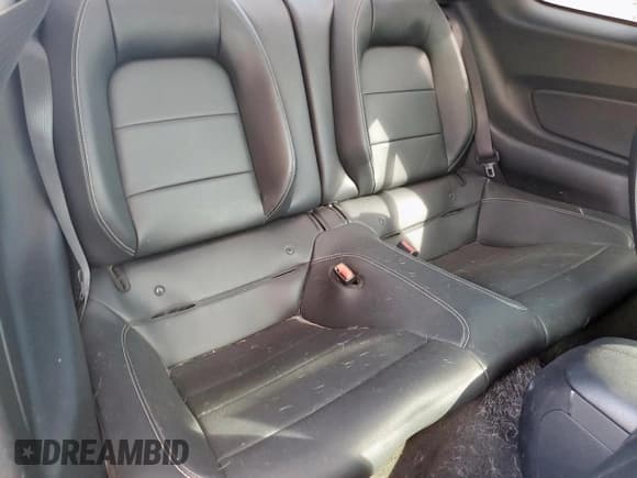 ✅ 2015 Ford Mustang EcoBoost Premium • VIN: 1FA6P8TH7F5381644 • Lot: 85673675. Wystawiony na Copart z przebiegiem 96 748 mil. Bezpłatny archiwum sprzedaży aukcyjnych z USA i szczegółowy raport historii pojazdu na DreamBid. Zdjęcie 10.