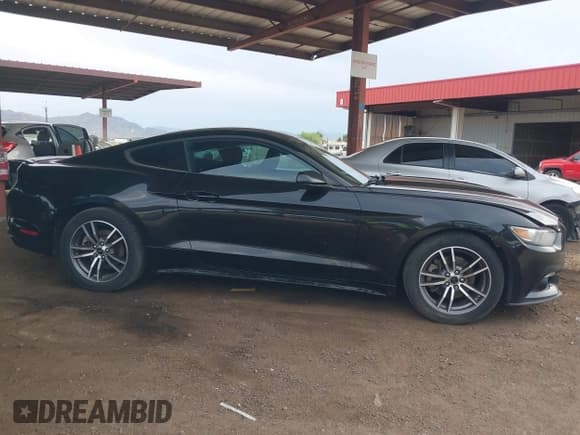 ✅ 2017 Ford Mustang EcoBoost • VIN: 1FA6P8TH1H5330837 • Lot: 43137841. Listed on IAAI with 125,080 mi. Free auction sales archive from the USA and detailed vehicle history report at DreamBid. Image 14.