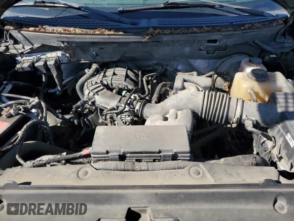 ✅ 2012 Ford F-150 XL • VIN: 1FTMF1CM6CKE37711 • Lot: 90053755. Listed on Copart with 85,520 mi. Free auction sales archive from the USA and detailed vehicle history report at DreamBid. Image 11.