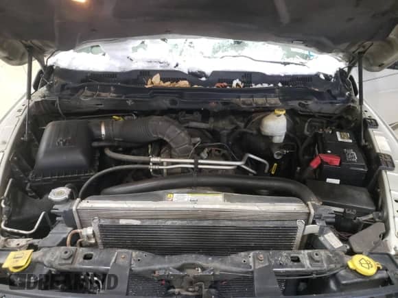 ✅ 2010 Dodge 1500 SLT • VIN: 1D7RV1GTXAS212222 • Лот: 87624975. Размещён на Copart с пробегом 179 684 миль миль. Получите бесплатный доступ к архиву аукционных продаж из США и посмотрите подробный отчёт об истории автомобиля на DreamBid. Изображение 11.