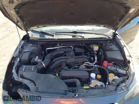 ✅ 2021 Subaru Legacy Premium • VIN: 4S3BWAD67M3007415 • Лот: 43249337. Опубликован ранее на IAAI с пробегом 82 483 миль. Бесплатный доступ к архиву аукционных продаж из США и подробный отчёт об истории автомобиля на DreamBid. Изображение 10.