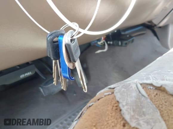 ✅ 2000 Ford F-250 XL • VIN: 3FTNW21F8YMA74939 • Lot: 43679748. Listed on IAAI with 230,554 mi. Free auction sales archive from the USA and detailed vehicle history report at DreamBid. Image 11.