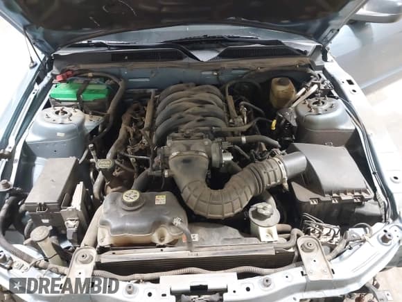 ✅ 2006 Ford Mustang GT Deluxe • VIN: 1ZVFT82H565117729 • Lot: 43598803. Listed on IAAI with 102,685 mi. Free auction sales archive from the USA and detailed vehicle history report at DreamBid. Image 10.