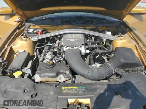 ✅ 2010 Ford Mustang GT • VIN: 1ZVBP8FH8A5178997 • Lot: 61794905. Listed on Copart with 81,319 mi. Free auction sales archive from the USA and detailed vehicle history report at DreamBid. Image 11.